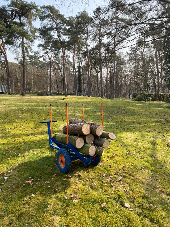 Baumpflege Baumfällung Baumschnitt Wurzelfräsen in Mülheim (Ruhr)