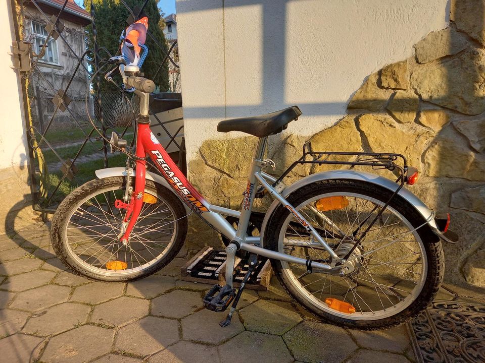 Kinderfahrrad Pegasus 20 Zoll in Föritz