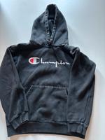 Champion Pullover Sachsen-Anhalt - Beendorf Vorschau