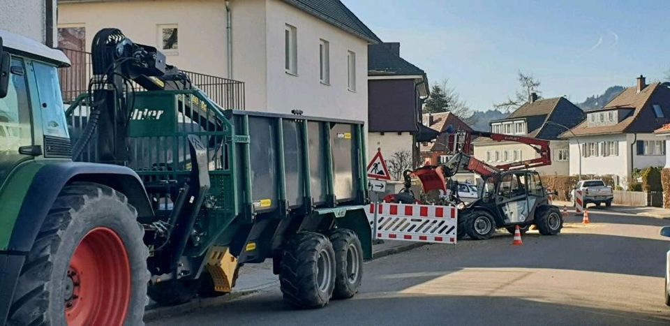 Baumfällung  Baumarbeiten Baumfäller Baumpflege Fällung in Kempten