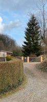 Grundstück Waldrandlage Bensheim-Hochstätten 750 qm Hessen - Bensheim Vorschau