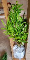 Zimmertanne, Schmucktanne, künstlich 60cm, Weihnachtsbaum, deko Hessen - Heidenrod Vorschau