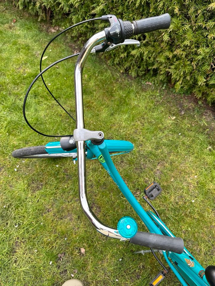 28“ Hollandfahrrad mit 50 cm Rahmenhöhe in Westerstede