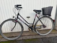 Fahrrad 28 Zoll „ENIK“ Damenrad FESTPREIS Köln - Porz Vorschau