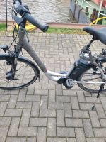 28 er Damen E-bike Nordrhein-Westfalen - Recke Vorschau