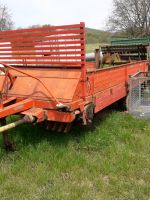 Hagedorn Ladewagen Miststreuer Holzanhänger Hessen - Ehrenberg (Rhön) Vorschau