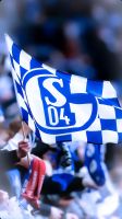 Ich SUCHE 2 Tickets für das Spiel Schalke gegen Hansa Rostock!!! Nordrhein-Westfalen - Kirchlengern Vorschau