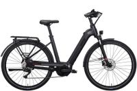 KETTLER QUADRIGA CX10  625 WH   E-Bike Trekking Essen - Essen-Borbeck Vorschau