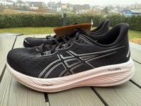 Asics Cumulus 26 Neu Gr. 43,5 Laufschuh Damen Rheinland-Pfalz - Wittgert Vorschau
