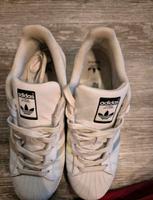 Adidas Superstar gr 40 Baden-Württemberg - Waldkirch Vorschau