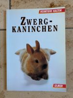 Zwergkaninchen-Buch Schleswig-Holstein - Reinfeld Vorschau
