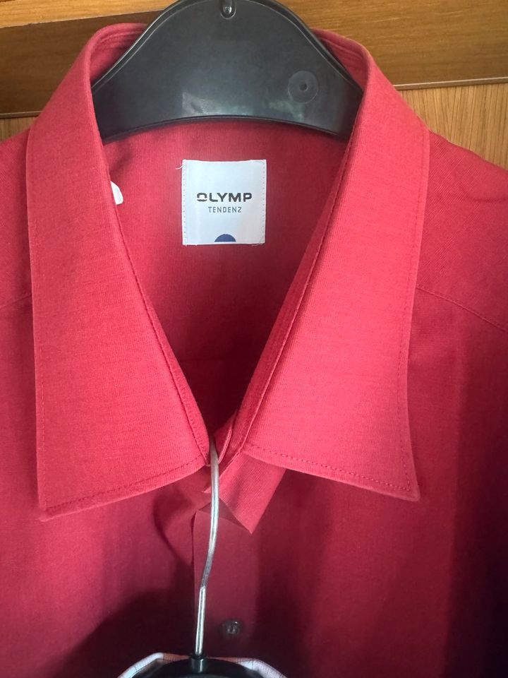 6 x Olymp-Hemden NEUw. 43-45/L-XL BW 64-66 cm je €12 alle für €60 in Oberriexingen