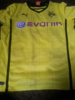 Bvb09 Trikot Rheinland-Pfalz - Trippstadt Vorschau