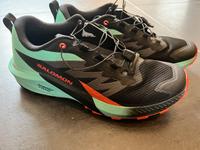 Salomon Sense Ride 5 43 1/3 neuwertig Trailrunningschuhe Hessen - Karben Vorschau