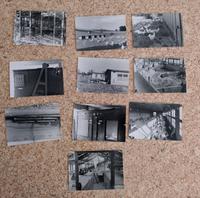 Fotos Hühnerzucht vermutlich DDR 60er Jahre Baden-Württemberg - Blaustein Vorschau