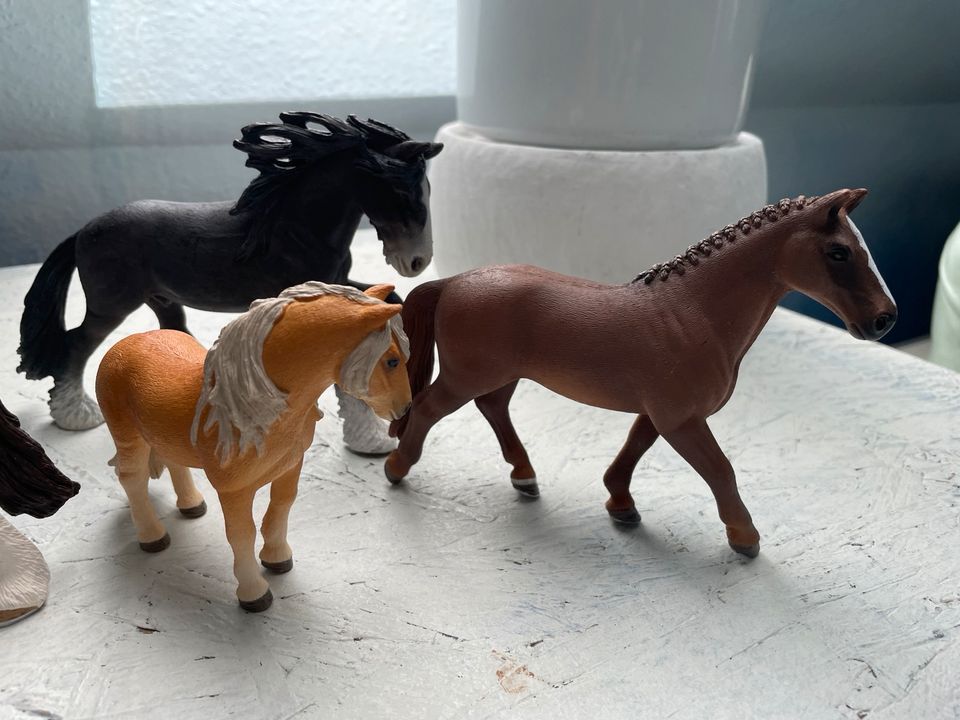 Schleich Pferde Hengst Figuren Spielzeug Kind Aktionfiguren in Großkrotzenburg