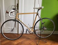 Pinarello „ Catena Lusso“, Stahlklassiker der 80er Hessen - Hochheim am Main Vorschau