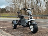 Elektro-Trike 45 km/h bis 120 km* Bayern - Weißenstadt Vorschau