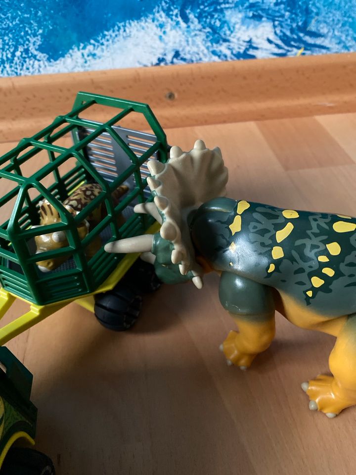 Playmobil Dinosaurier Forscher in Salzgitter