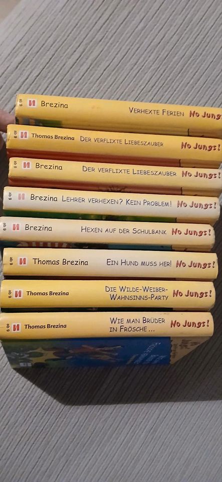 No Jungs! Diverse Bücher in Großkrotzenburg