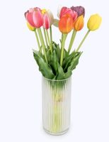 Pflanzenzauber Real-Touch Tulpen mit Glasvase bunt NEU Nordrhein-Westfalen - Hagen Vorschau