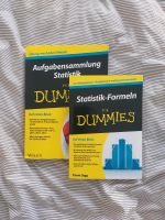 Statistik für Dimmies Berlin - Mitte Vorschau