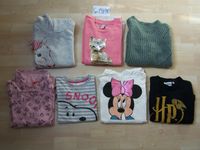 Mädchen, Langarmshirt, Pullover, Gr. 134/140, H&M, Potter, Minnie Sachsen-Anhalt - Wettin-Löbejün Vorschau