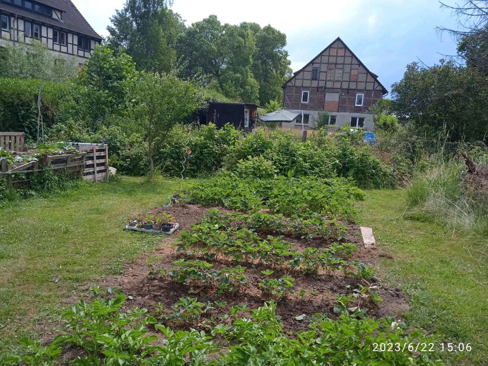 Schrebergarten in Frankenberg (Eder)