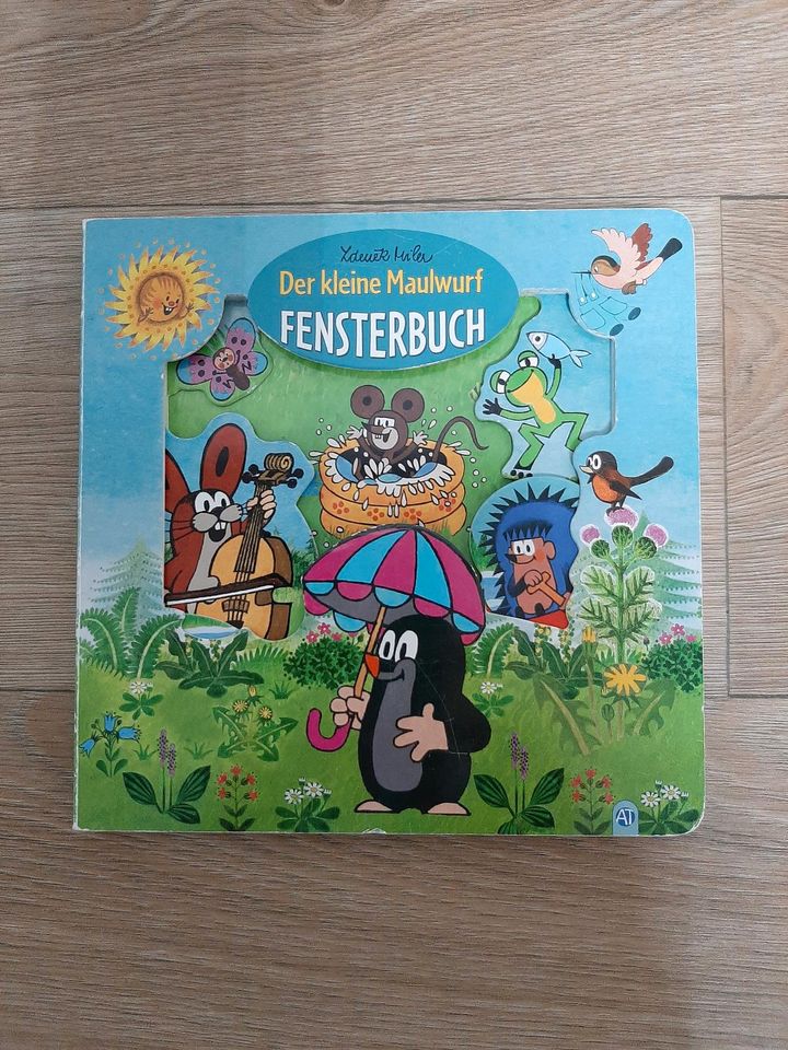 Kinderbuch: Der kleine Maulwurf (Fensterbuch) in Naumburg (Saale)