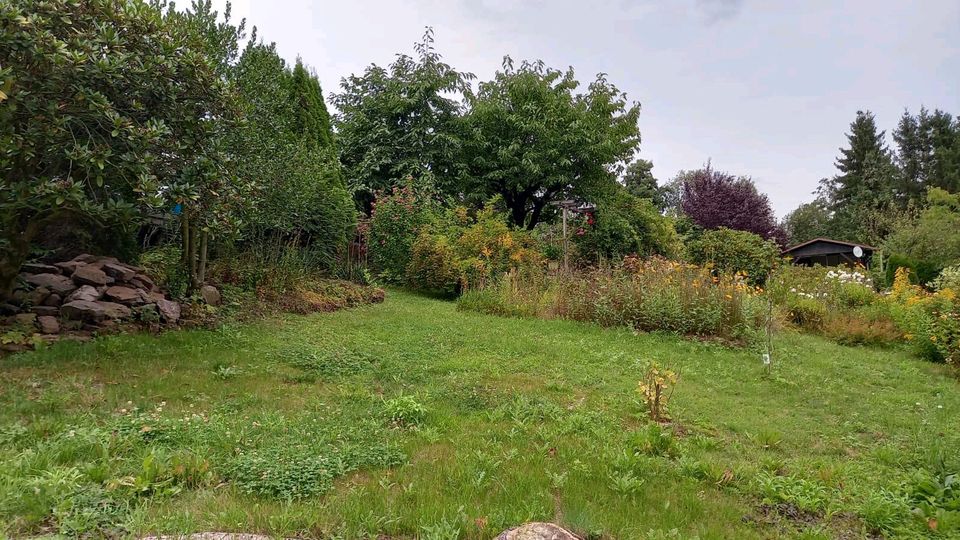 Garten in Rabenau/ Kleingarten/ Pachtgarten in Freital