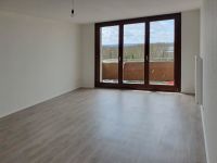 Ausladende 2-Zimmer-Wohnung mit Balkon im Erdgeschoss *Renoviert* Nordrhein-Westfalen - Düren Vorschau