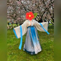 Hanfu Kimono Cosplay Traditionell Chinesisch M L XL Pankow - Prenzlauer Berg Vorschau