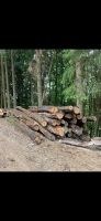 Suche Stammholz Eiche  Industrieholz Nordrhein-Westfalen - Sundern (Sauerland) Vorschau