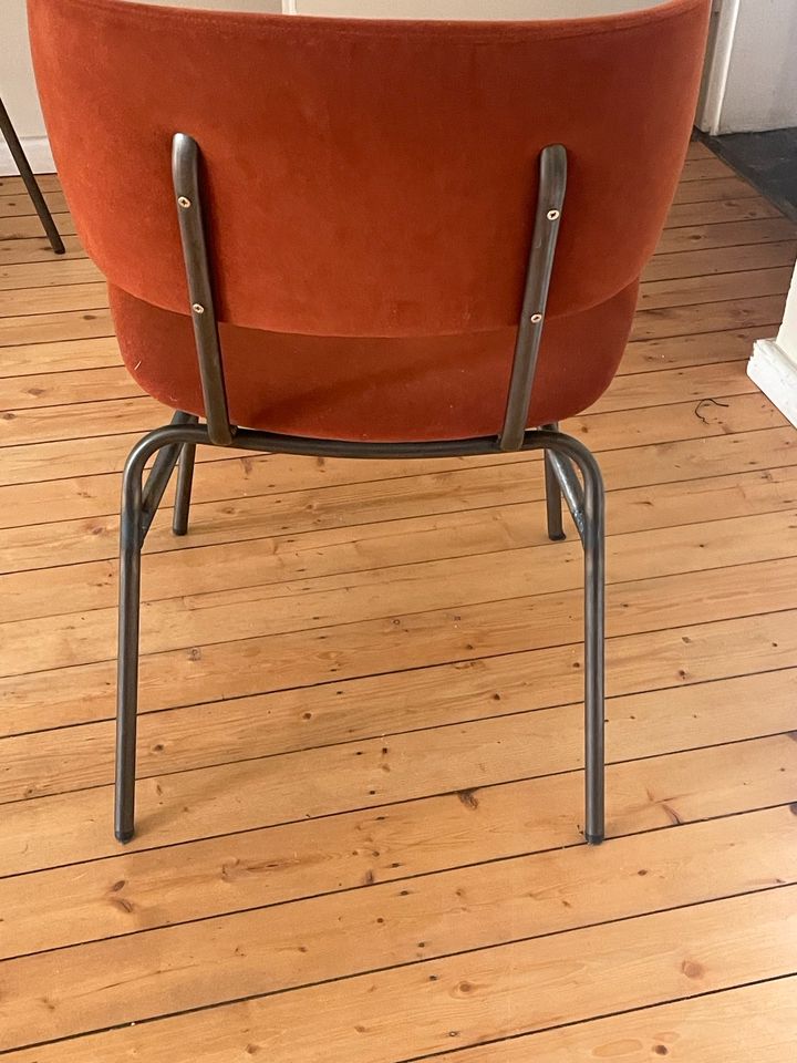 Stühle ( Esszimmer/4 Stück) von Designer Jan Kurtz in Münster (Westfalen) -  Centrum | eBay Kleinanzeigen ist jetzt Kleinanzeigen
