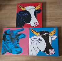 3 Kuh Bilder Schleswig-Holstein - Hohenfelde Vorschau