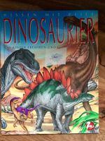 Bücher: Dinosaurier, Drachen - versandfrei Sachsen - Markkleeberg Vorschau