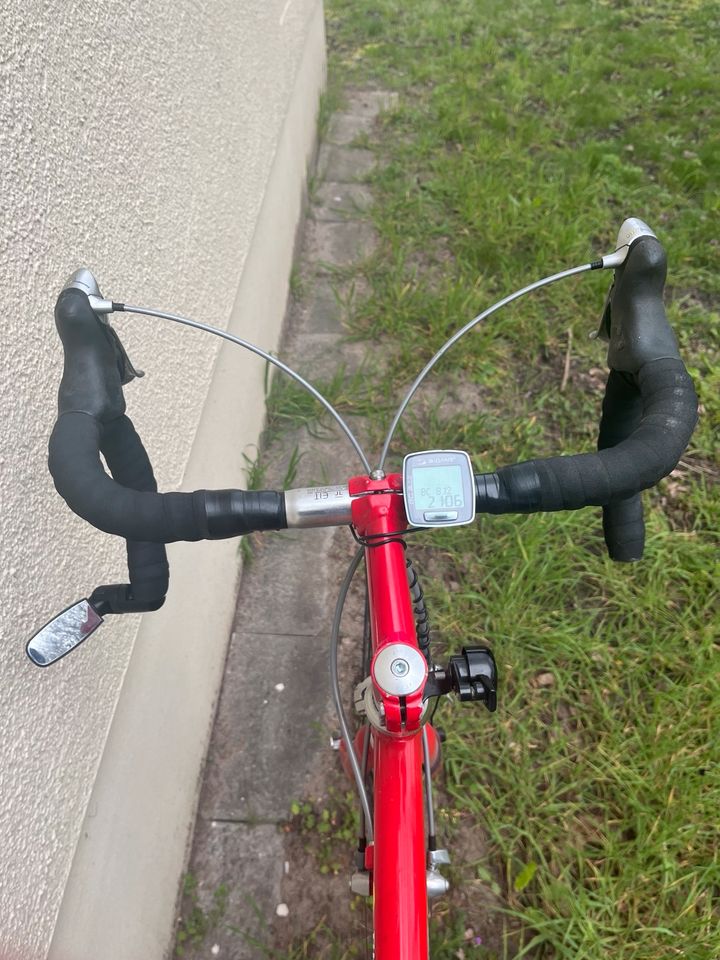 Rennrad Bulls in Groß Kreutz