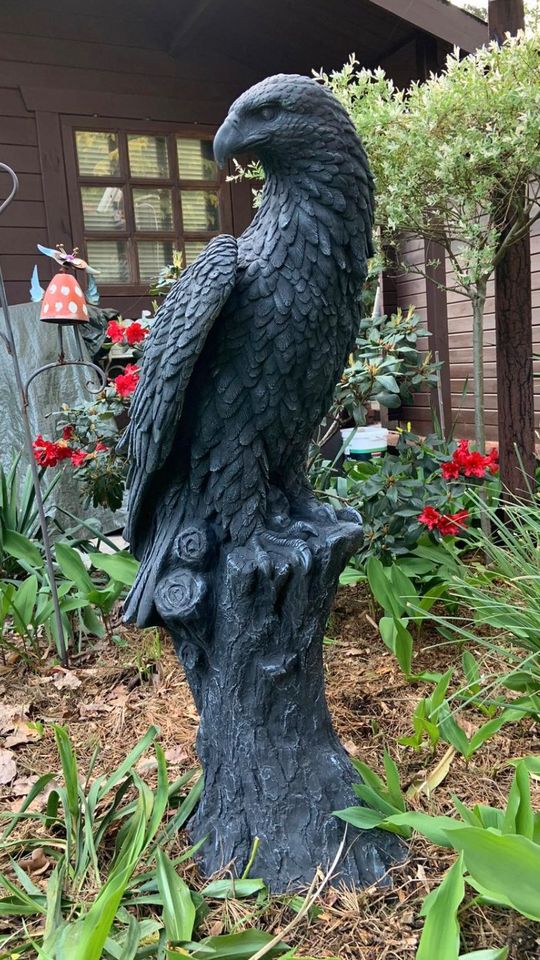 Adler 100kg 106cm Steinadler Seeadler Greifvogel Eagle Harley SGE in Düsseldorf