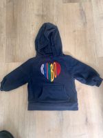 Sweater Hoodie Next 104 Rheinland-Pfalz - Erpolzheim Vorschau