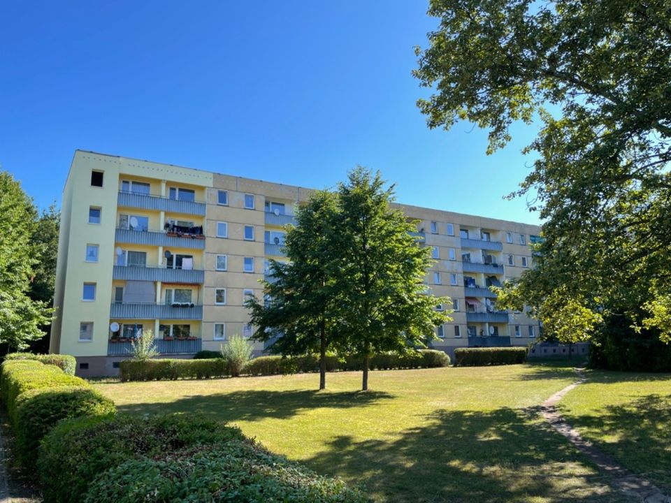 Share Deal 100 %! Immobilien-GmbH mit 11 lastenfreien Renditeobjekten in Brandenburg in Panketal