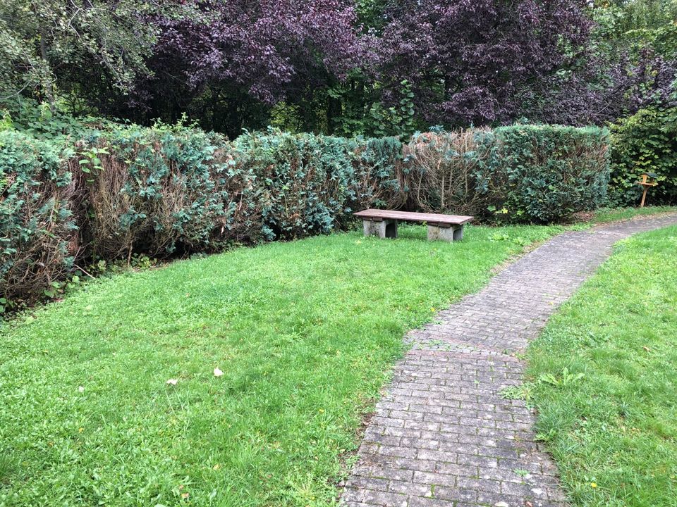 Vermietung Wohnung St. Ingbert 2 ZKB mit Terrasse in St. Ingbert