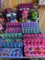 Hatchimal Spin Master Konvolut Altona - Hamburg Iserbrook Vorschau