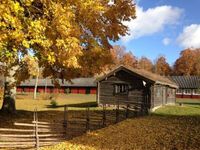 kleines Ferienhaus in Schweden / Appartment Stuga in Südschweden Baden-Württemberg - Horb am Neckar Vorschau