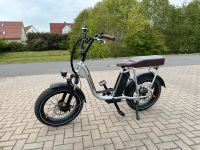 RadRunner Plus mit Zubehör, EBike, Cargo, Lastenrad Niedersachsen - Langenhagen Vorschau