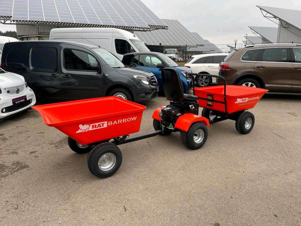 Rat Barrow - Motorschubkarre  - Schubkarre - Hoflader - Dumper in Westerheim