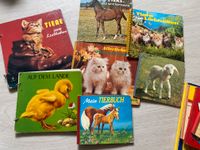 SET Vintage Kinderbücher Kleinkind Tiere echte Tierbilder Kuh Sch Bayern - Obermichelbach Vorschau