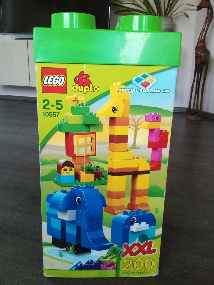 Lego Duplo XXL Steinebox in Nordrhein-Westfalen - Hörstel | Lego & Duplo  günstig kaufen, gebraucht oder neu | eBay Kleinanzeigen ist jetzt  Kleinanzeigen