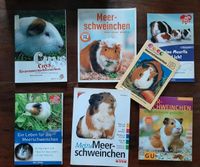 7 x Bücher Set  Buch Meerschweinchen & Cuys Sachsen - Lichtenau Vorschau