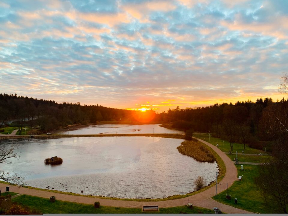 Ferienwohnung SEEBLICK direkt am Bocksberg in Hahnenklee - Harz in Burgdorf