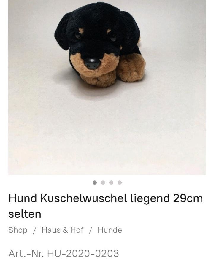 Stoffhund Kuschelwuschel gesucht in Düsseldorf